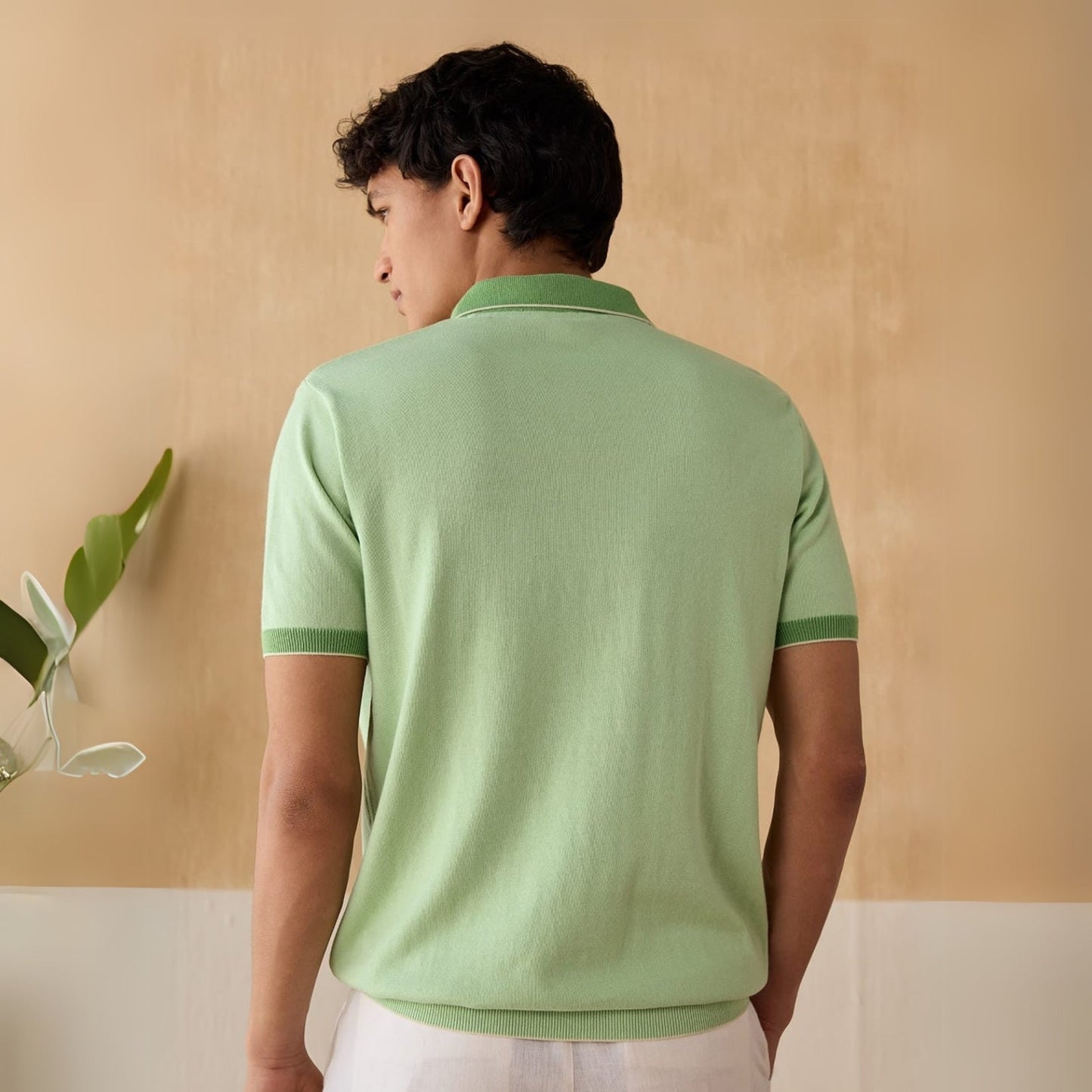 Men's Polo T-Shirts : Stylish & Comfortable | Combo Pack Of 3