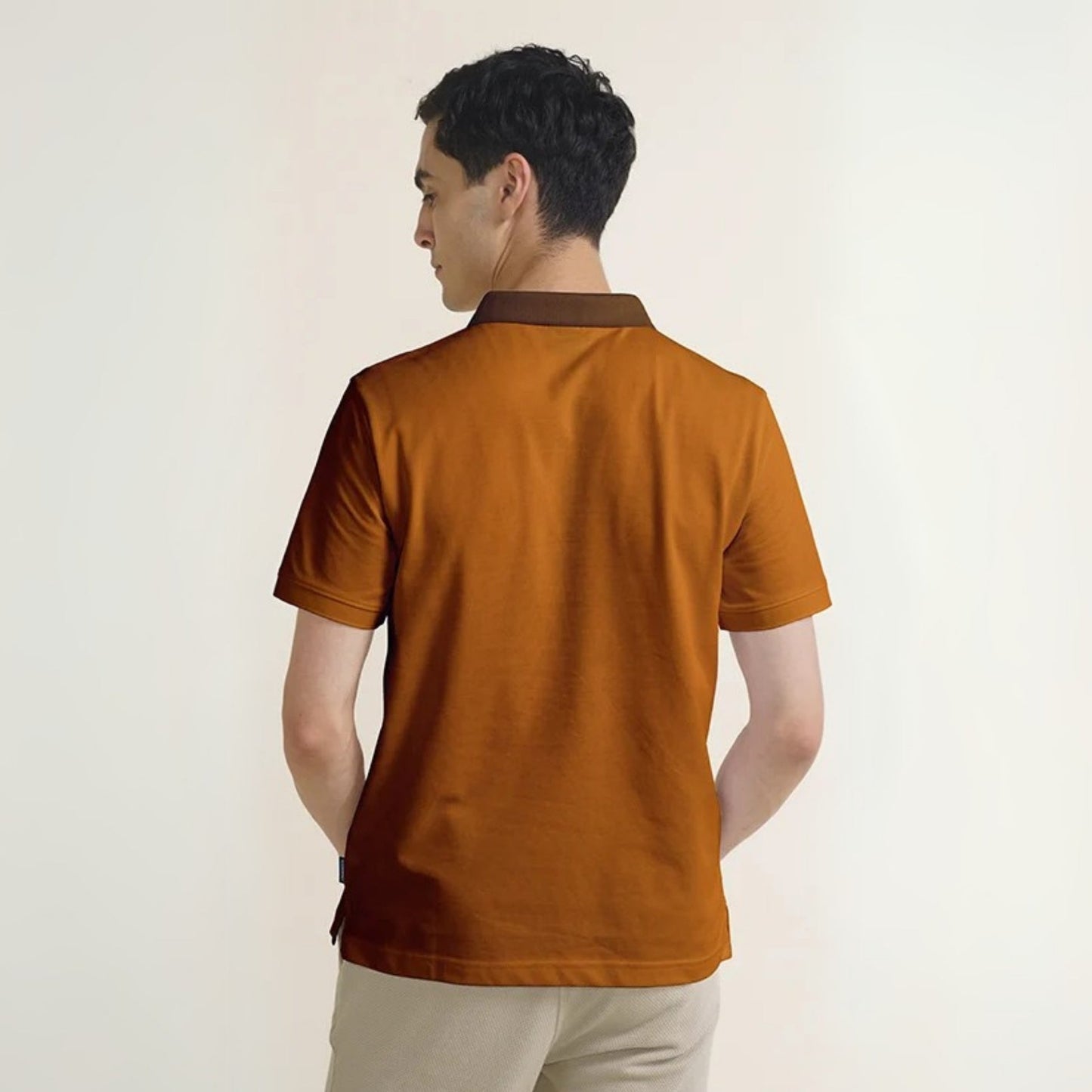 Pack of 2 polo T- Shirts Classic Comfort : For Every Occasion