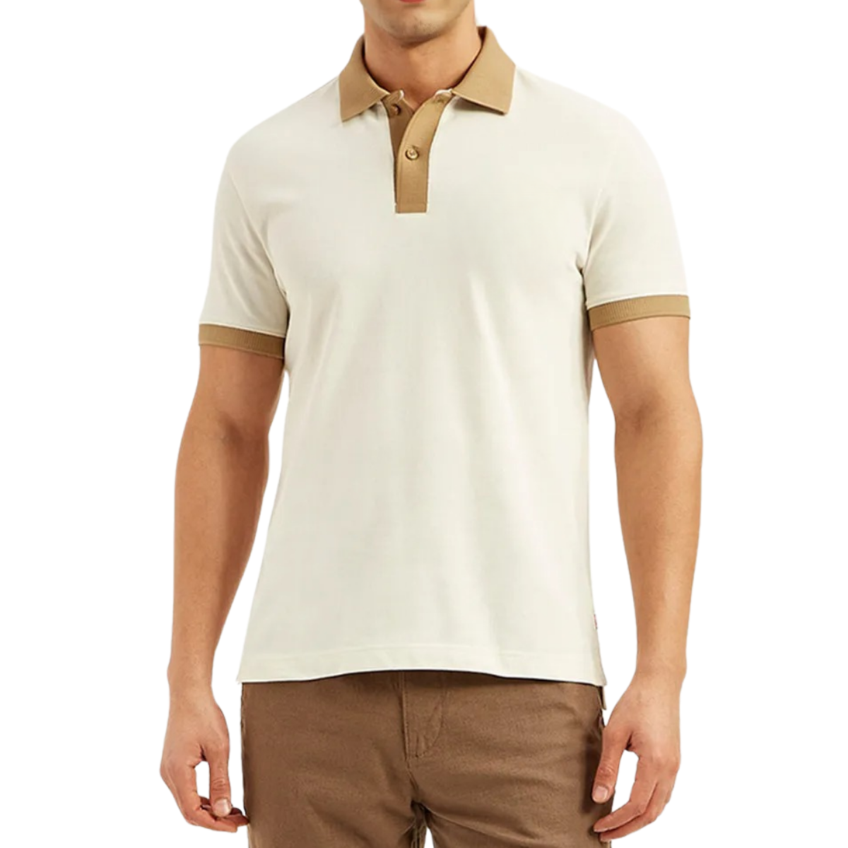 Men's Polo T-Shirts : Stylish & Comfortable | Combo Pack Of 3
