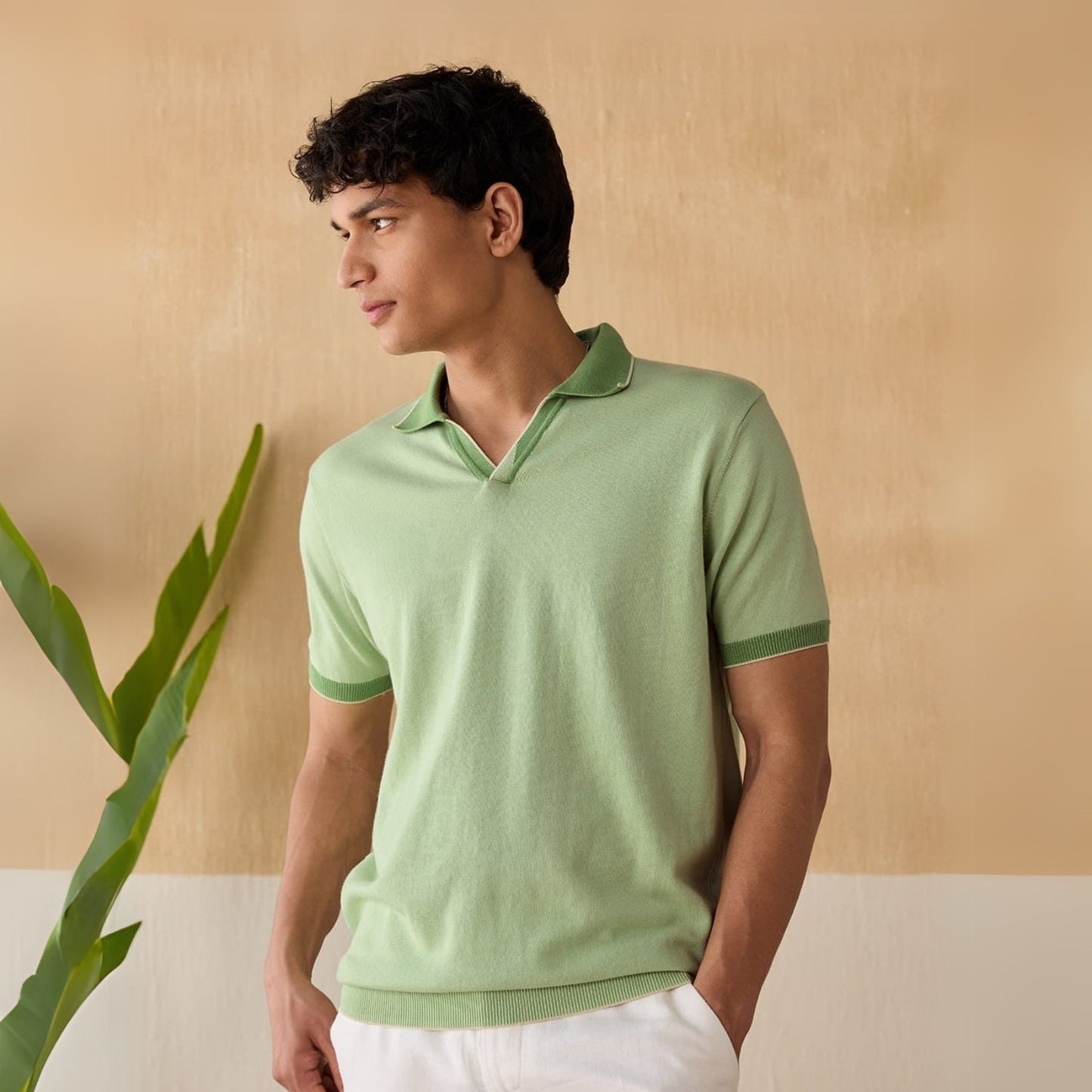 Men's Polo T-Shirts : Stylish & Comfortable | Combo Pack Of 3